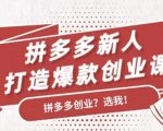 拼多多新人打造爆款创业课：快速引流持续出单，适用于所有新人-八爪鱼资源库