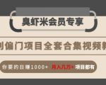 暴利偏门项目全套合集视频教程：你要的日赚1000+月入几万+项目都有-八爪鱼资源库