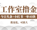 工作室撸金二件套：撸今日头条原创收益+小红书一单利润40块项目-八爪鱼资源库