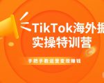 TikTok海外掘金实操特训营：手把手教运营变现赚钱-八爪鱼资源库