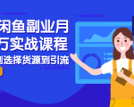 2021闲鱼副业月入过万实战课程：从开店到选择货源到引流，全程实战教学-八爪鱼资源库