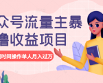 公众号流量主暴利撸收益项目，空闲时间操作单人月入过万-八爪鱼资源库