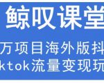 鲸叹号·海外TIKTOK训练营，百万项目海外版抖音tiktok流量变现玩法-八爪鱼资源库
