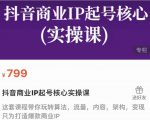 抖音商业IP起号核心实操课，带你玩转算法，流量，内容，架构，变现-八爪鱼资源库