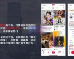 麦子互娱短视频带货·0基础做好物分享账号，无需出镜无需货源无需拍摄-八爪鱼资源库