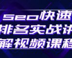 seo快速排名实战讲解视频课程，揭秘seo快排原理-八爪鱼资源库