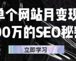 单个网站月变现100万的SEO秘密，百分百做出赚钱站点-八爪鱼资源库