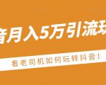 老古董·抖音月入5万引流玩法，看看老司机如何玩转抖音(附赠：抖音另类引流思路)-八爪鱼资源库