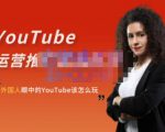外国人眼中的YouTube该怎么玩？Elisa·YouTube运营推广实战技巧-八爪鱼资源库