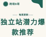 【跨境B哥】独立站潜力爆款选品推荐，测款出单率高达百分之80-八爪鱼资源库