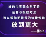 张sir账号流量增长课，告别海王流量，让你的流量更精准-八爪鱼资源库