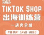 疯人院:TikTok Shop出海训练营(一店卖全球),出海抢占全球新流量-八爪鱼资源库