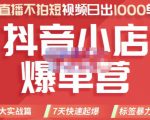 推易电商·2022年抖音小店爆单营，不直播、不拍短视频、日出1000单，暴力玩法-八爪鱼资源库