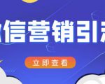 微信营销策划引流系列课程，每天引流100精准粉-八爪鱼资源库
