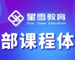 星雪教育淘系高级班，更全的运营提升方案，零基础由浅入深，店铺最新玩法-八爪鱼资源库