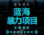引流哥蓝海暴力躺赚项目：无需发圈无需引流无需售后，每单赚50-500（教程+线报群)-八爪鱼资源库
