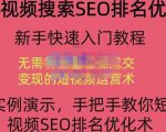 宋老师·短视频搜索SEO优化，教你10分钟创作一个短视频，三天排名上第一-八爪鱼资源库