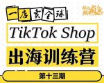 TikTokShop出海训练营（第十三期），打开全球流量新思维，出海抢占全球新流量，一店卖全球-八爪鱼资源库