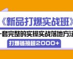 凌童《新品打爆实战班》,一套完整的实操实战落地方法，打爆链接超2000+（28节课)-八爪鱼资源库