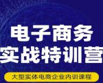 民赛电气内部出品：电子商务实战特训营，全方位带你入门电商，308种方式玩转电商-八爪鱼资源库