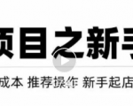 虚拟项目快速起店模式，0成本打造月入几万虚拟店铺！-八爪鱼资源库