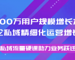8000万用户规模增长方法论私域精细化运营增长，私域流量硬课助力业务跃迁-八爪鱼资源库