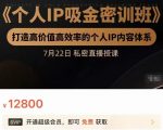 个人IP吸金密训班，打造高价值高效率的个人IP内容体系（价值12800元）-八爪鱼资源库