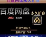 百度网盘无限扩容技术，外面卖399的，无论自己用还是用做引流都可以-八爪鱼资源库