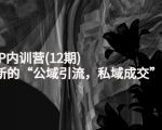 新媒体IP内训营(12期)，一套全新的“公域引流，私域成交”IP打法，直接带走-八爪鱼资源库