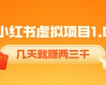 《小红书虚拟项目1.0》账号注册+养号+视频制作+引流+变现，几天就赚两三千-八爪鱼资源库