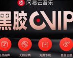 网易云音乐撸黑胶年卡及变现方法，收益可无限放大-八爪鱼资源库