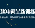 兴趣电商全新训练营：打破品销边界，带你玩转“兴趣电商“实现业务增长-八爪鱼资源库