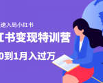 小红书变现特训营：带你快速入局小红书，从0到1月入过万-八爪鱼资源库