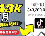2022抖音国际版Tiktok赚钱项目：每天上传一个视频就轻松月入$43200-八爪鱼资源库
