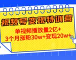 21天视频号变现特训营：单视频播放量2亿+3个月涨粉30w+变现20w+（第14期）-八爪鱼资源库