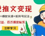 小说推文训练营：引流技巧+爆款实操+矩阵号玩法，百倍效益、百万播放秘笈-八爪鱼资源库