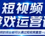 短视频游戏赚钱特训营,0门槛小白也可以操作,日入1000+-八爪鱼资源库