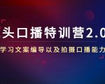 镜头口播特训营2.0版，学习文案编导以及拍摄口播能力（50节课时）-八爪鱼资源库