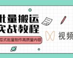 视频号批量搬运实战操作运营赚钱教程，傻瓜式批量制作高质量内容【附视频教程+PPT】-八爪鱼资源库