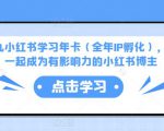 厦九九小红书学习年卡（全年IP孵化），沉浸式学习，一起成为有影响力的小红书博主-八爪鱼资源库