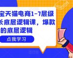 大圣淘宝天猫电商1-7层级盈利增长底层逻辑课，爆款的底层逻辑-八爪鱼资源库