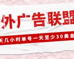 外面收费1980的最新国外LEAD广告联盟搬砖项目，单号一天至少30美金【详细玩法教程】-八爪鱼资源库