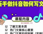 新手做抖音如何写文案，手把手实操如何拆解热门文案-八爪鱼资源库