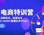 美团电商特训营：美团·店群玩法，无脑铺货月产出6000-15000+精细化月产2w+-八爪鱼资源库