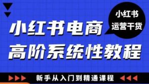 小红书电商高阶系统教程，新手从入门到精通系统课-八爪鱼资源库