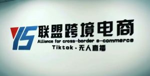 YS联盟·Tiktok无人直播，不出镜不剪辑不拍摄不发货无售后的跨境短视频躺赚玩法-八爪鱼资源库