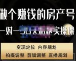 刘广标·同城房产号线上陪跑课，拍摄、剪辑、写文案、直播，做一个具有潜力价值的房产号-八爪鱼资源库