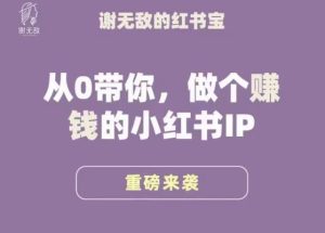 谢无敌·小红书运营大宝典，从0带你做个赚钱的小红书IP-八爪鱼资源库