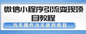 微信小程序引流变现项目教程，当天操作当天就有收益，变现不再是难事-八爪鱼资源库
