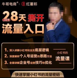 牛哥电商红薯邦28天撕开小红书流量入口，小红书运营系列课，快速掌握小红书的流量密码-八爪鱼资源库